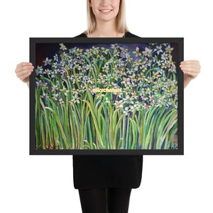 Narcissus Water Lilies, 2015, Framed Art Print Poster, Made in USA - alicechanart
