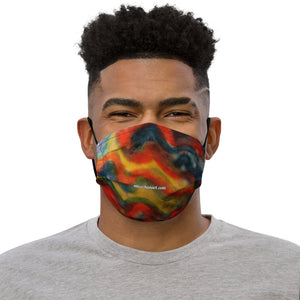 Rainbow Swirl Face Mask, Abstract Ink Print Washable Reusable Abstract Contemporary Art Artistic Microfiber Adjustable Washable Reusable Polyesters Super Soft Non-Medical Decorative Designer Adult Face Mask-Made in USA/EU/MX, Classic Fine Art Mask, Bestselling Artistic Face Mask, Artsy Premium Luxury Face Mask